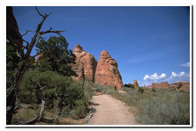 Arches National Park, Utah
