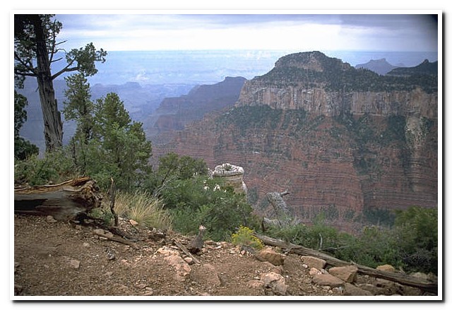 Grand Canyon (North Rim), Arizona
