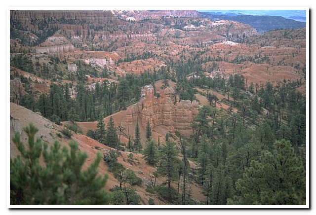Bryce Canyon, Utah

