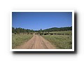 Custer State Park, South Dakota
