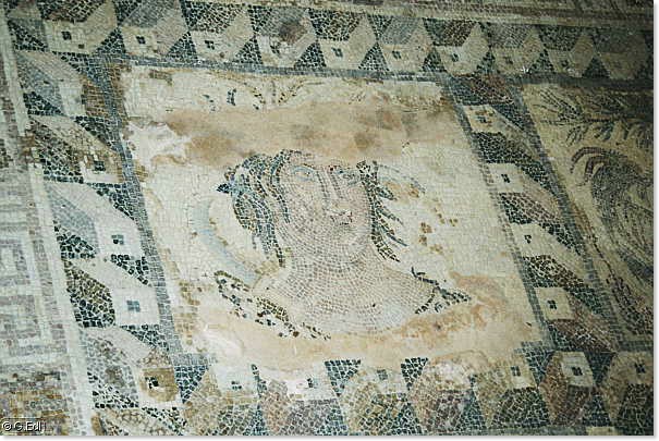 01_16.jpg