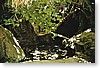 03_03.jpg